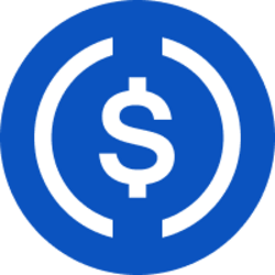 Usd Coin logosu